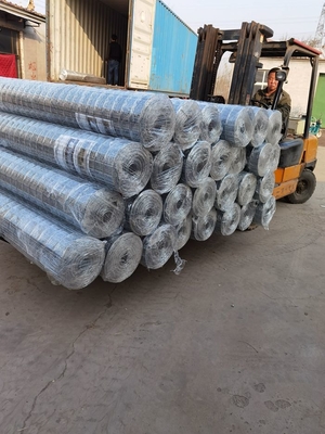 1.2mx30m Q195 Stee Hot Dipped Galvanized Wire Mesh  Long Hole Shape